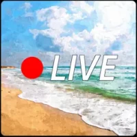 Beach Live Cams