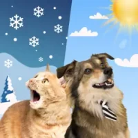 Weather Kitty - Cute Cat radar