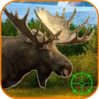 Moose Hunting Calls