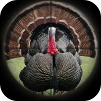 Turkey Hunting Calls