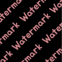 Watermark PLUS