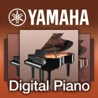 Digital Piano Controller - US