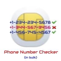Bulk Phone Number Checker
