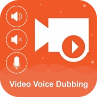 Video Voice Dubbing