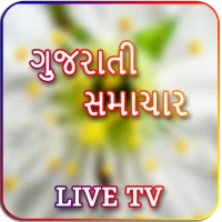 Gujarati Live TV & News Papers