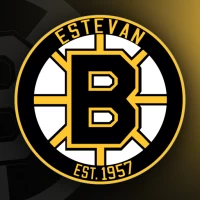 Estevan Bruins Official App