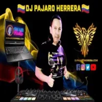 Dj Pajaro Herrera