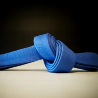 BJJ Blue Belt Requirements 2.0