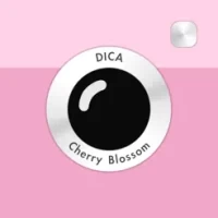 DICA - Cherry Blossom