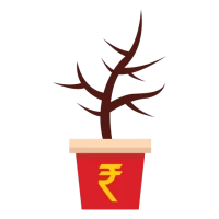 Money Tree app - Earn Online