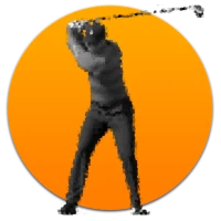 133t Golf Coach | Training