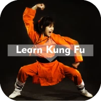 Learn Kung Fu at Home