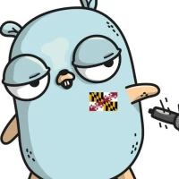 Golang Libraries and Compiler