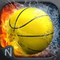 Basketball Showdown Pro