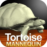 Tortoise Mannequin