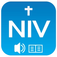 NIV Audio Bible: book