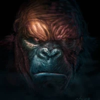 KongPedia | Kong Wiki