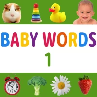 Baby Words: Flashcards