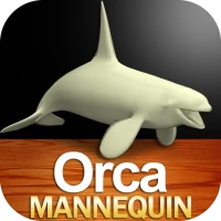 Orca Mannequin