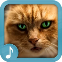 Meowing Cat Sounds Ringtones