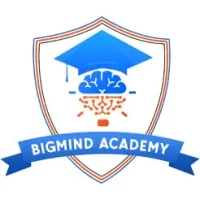 BIGMIND ACADEMY