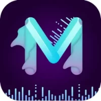 Video Downloader - MV Master