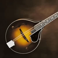 Mandolin Instrument