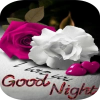 Good Night Pictures 2024