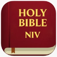 NIV Bible: 365 Day Study Bible