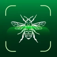 Bug Id App - Insect Identifier