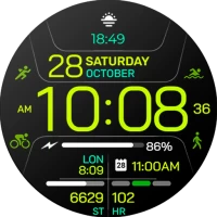 Chester Inform MOD watch face