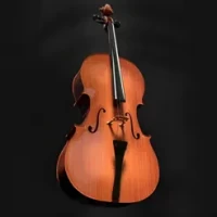 Cello Instrument