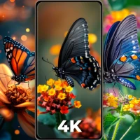 Cool Butterfly Wallpapers 4K