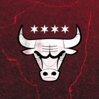 Chicago Bulls