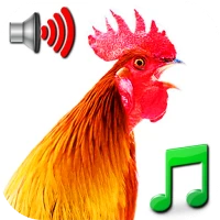 Funny Alarm Clock Ringtones