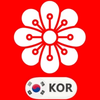 Learn Korean Flashcards