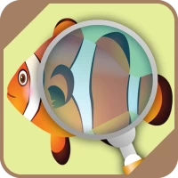 Automatic Fish Identifier