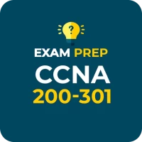 CCNA 200-301 Practice Question