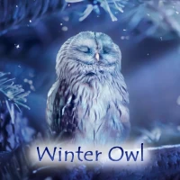 Winter Owl Theme +HOME