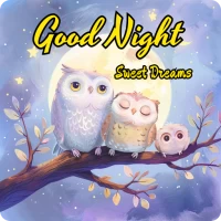 Good Night Images Wishes HD