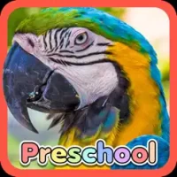 Wild Animal Preschool Games