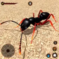 Ant Insect Bug Life Simulator