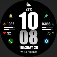 WFP 244 Sports watch face