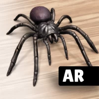 AR Spiders & Co: Scare friends