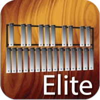 Professional Xylophone Elite