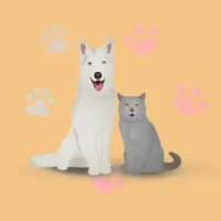 &#20154;&#29483;&#29399;&#21160;&#29289;&#32763;&#35793;&#22120;-&#29483;&#35821;&#32763;&#35793;&#22120;&amp;&#29399;&#35821;&#32763;&#35793;&#22120;&amp;&#23456;&#29289;&#32763;&#35793;&#22120;