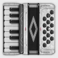 Accordion Piano Cassoto