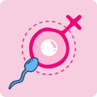 Ovulation Calculator & Tracker