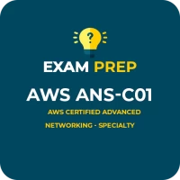 AWS ANS-C01 Practice Questions