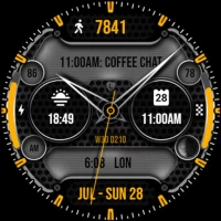 Hybrid Watch Face 080